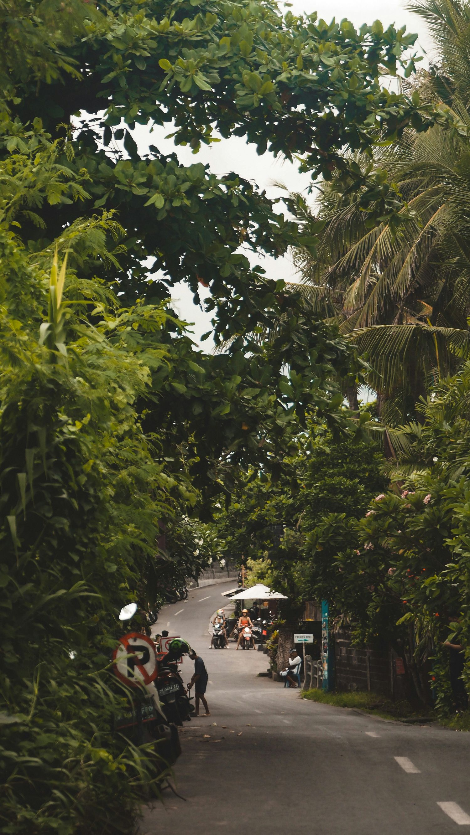 Coffee down the lane