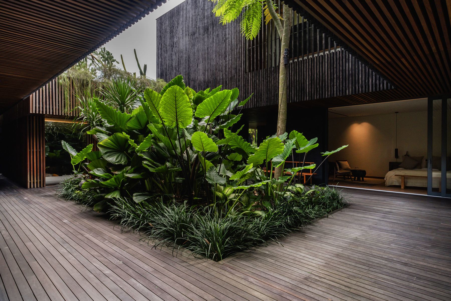 Deck, courtyard planting and bedroom
