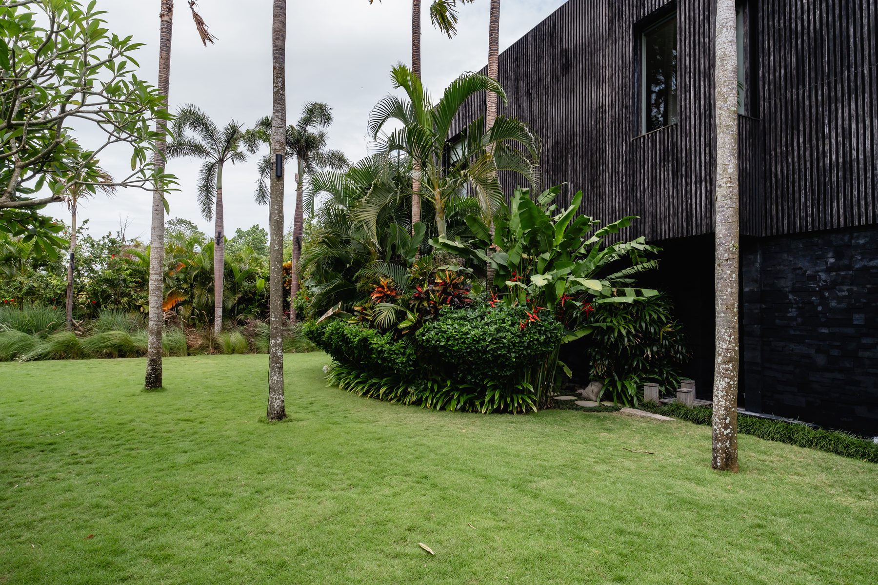 The garden lawn